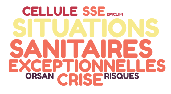 Projet - Gestion de crise sanitaire - SSE
