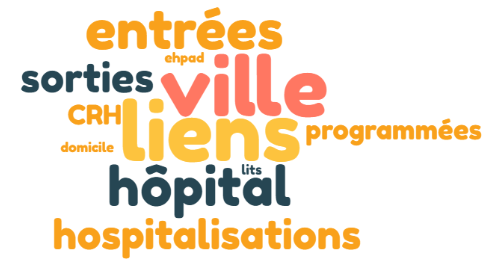 Projet - Lien Ville-Hôpital-Établissements