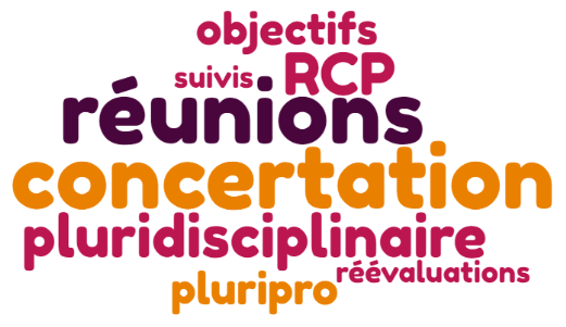 Projet  Organiser des réunions de concertation pluridisciplinaires sur le territoire