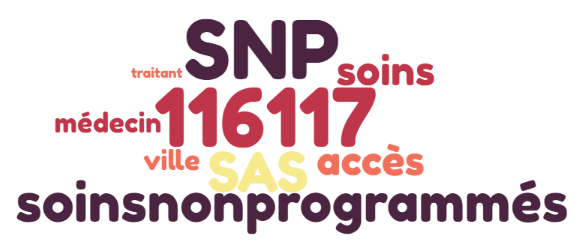 Projet 1B - Prise en charge des soins non programmés en ville