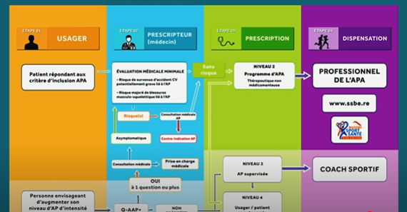 L’activité physique adaptée: modalités de prescription et déroulé d’un programme