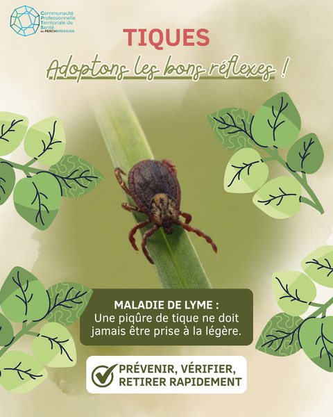 🌿 L'été est la saison des balades… Mais aussi celle des tiques ! 🕷️