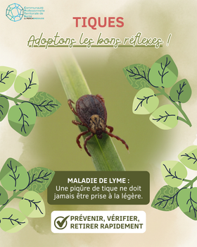 🌿 L'été est la saison des balades… Mais aussi celle des tiques ! 🕷️