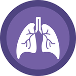 Priscilla&nbsp;HENNO