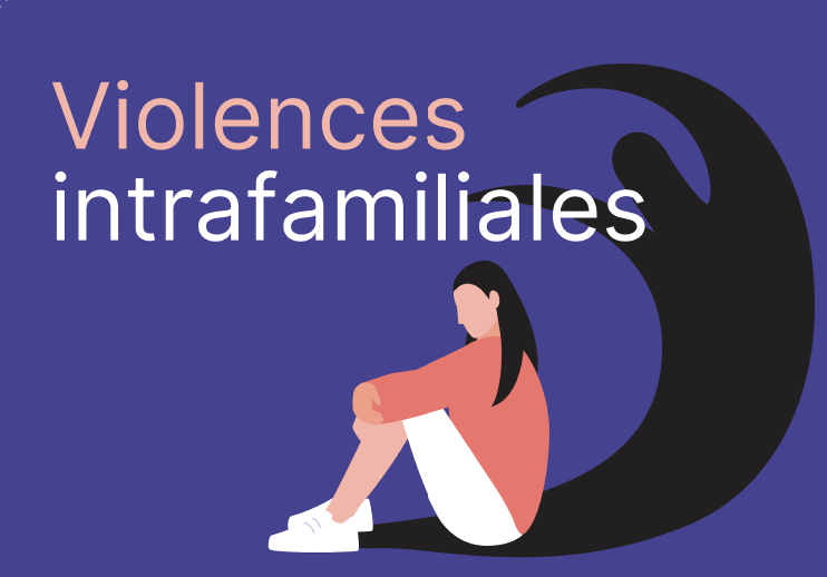 Rencontre partenariale VIF du 21 Mars 2024 - Violences Intrafamiliales